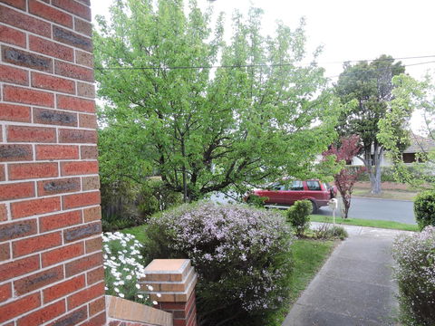Monash And Chadstone WiFi - Hotel WA 2