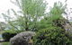 Monash And Chadstone WiFi - thumb 4