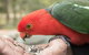 Gipsy Point Lodge & Cottages - thumb 17