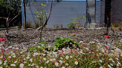 The Olive Tree Motel - Hotel WA 16