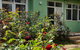 Green Grove - thumb 2