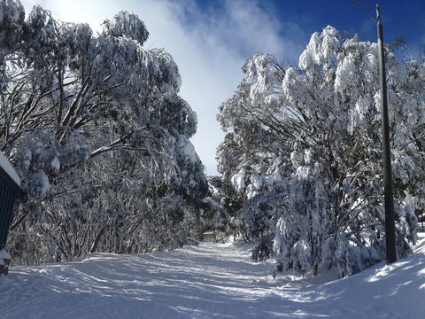 Maisonettes Falls Creek - Hotel WA 17