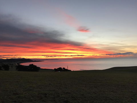 The Cove Tasmania - Hotel WA 1