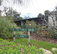 The Fig Tree BB - Hotel WA