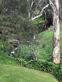 Book Cockatoo Valley Accommodation Vacations Hotel WA Hotel WA