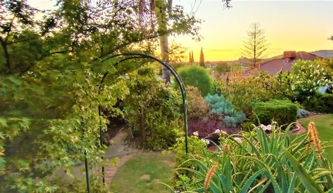 Treetops Escape - Hotel WA 1