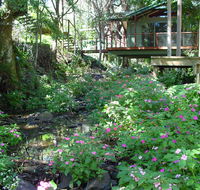 Treetops Montville - Hotel WA
