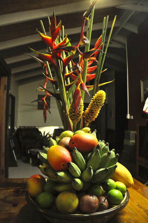 Tropical Bliss Bed And Breakfast - Hotel WA 3