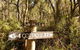 Twin Falls Bush Cottages - thumb 3