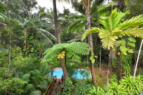 Wait A While Daintree - Hotel WA 3
