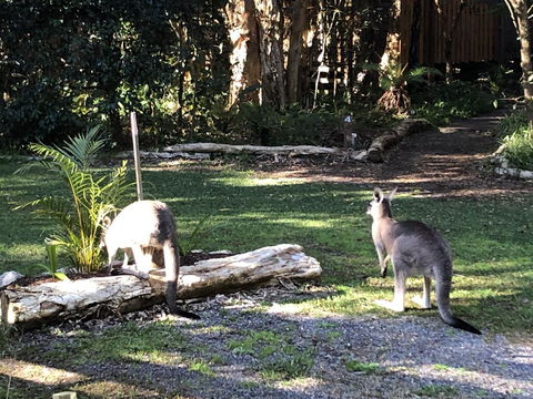 Wanderers Retreat - Hotel WA 3