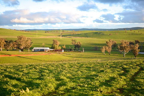 Wantana Cottage Farmstay - Hotel WA 0