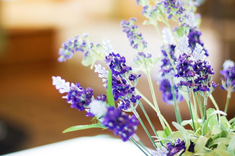 Marwood Villas - Hotel WA 7