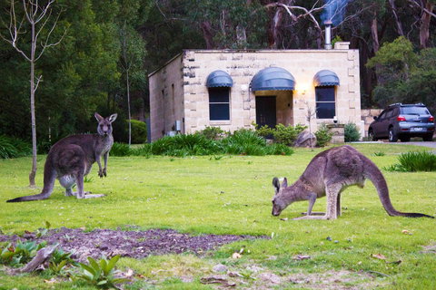 Marwood Villas - Hotel WA 31