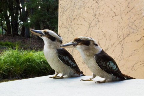 Marwood Villas - Hotel WA 13