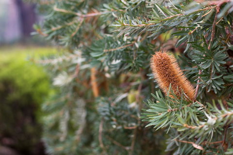 Marwood Villas - Hotel WA 34