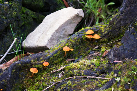 Marwood Villas - Hotel WA 29