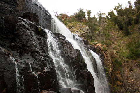 Marwood Villas - Hotel WA 38