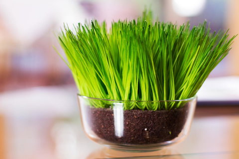 Marwood Villas - Hotel WA 17