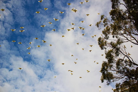 Marwood Villas - Hotel WA 26