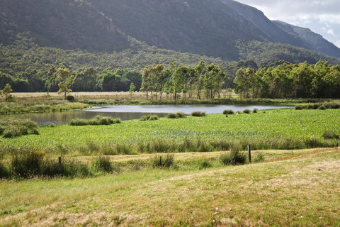 Gumnut Villa - Hotel WA 11