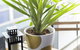 Complete Host 50 Claremont St Apartments - thumb 6