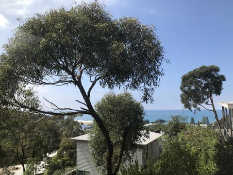 Lorne Sea View Terrace House - Hotel WA 26