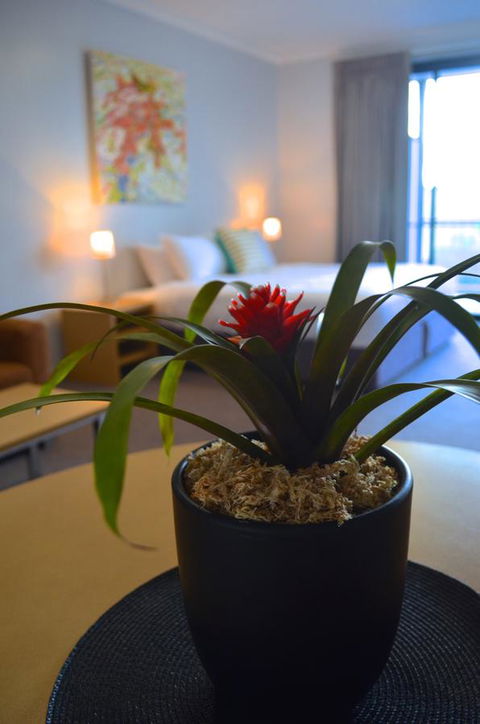 Mansfield Apartments - Hotel WA 21