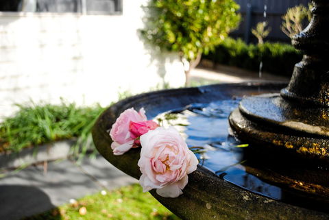 Bed Of Roses - Hotel WA 35