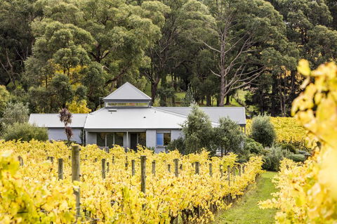 Polperro Villas - Hotel WA 22