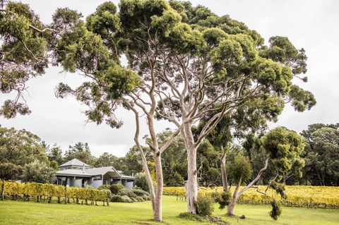 Polperro Villas - Hotel WA 20