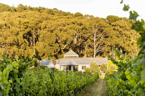 Polperro Villas - Hotel WA 0