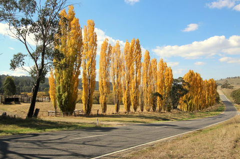 3 Bells Alpine Cottage - Hotel WA 20