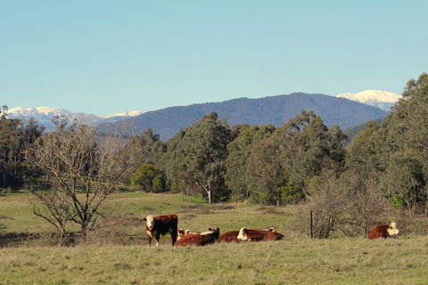 3 Bells Alpine Cottage - Hotel WA 21