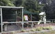 Tarra Bulga Guesthouse - thumb 35