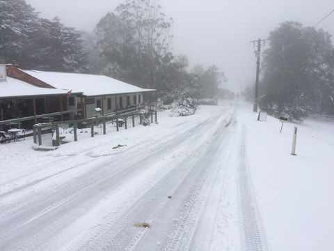 Tarra Bulga Guesthouse - Hotel WA 8