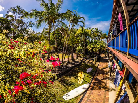 Cool Bananas Backpackers - Hotel WA 17