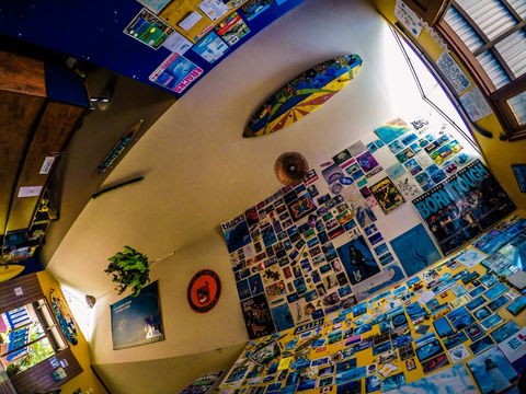 Cool Bananas Backpackers - Hotel WA 29