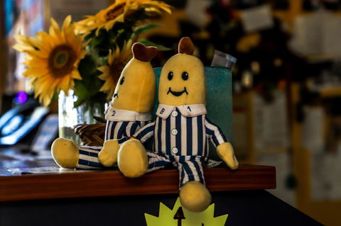 Cool Bananas Backpackers - Hotel WA 30