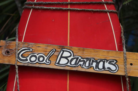 Cool Bananas Backpackers - Hotel WA 41