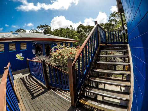 Cool Bananas Backpackers - Hotel WA 27