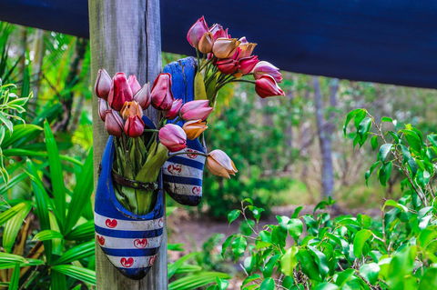 Cool Bananas Backpackers - Hotel WA 26