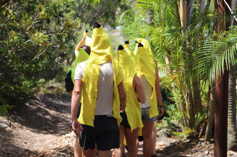 Cool Bananas Backpackers - Hotel WA 19