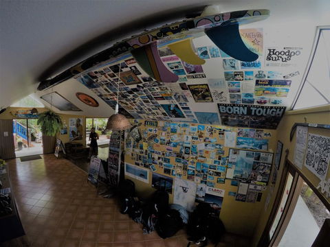Cool Bananas Backpackers - Hotel WA 31