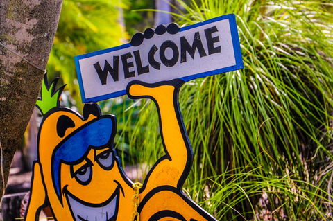 Cool Bananas Backpackers - Hotel WA 37
