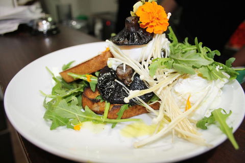 10 Hastings Street Motel - Hotel WA 29