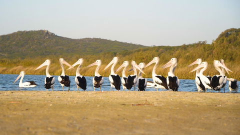 Castaways Moreton Island - Hotel WA 11