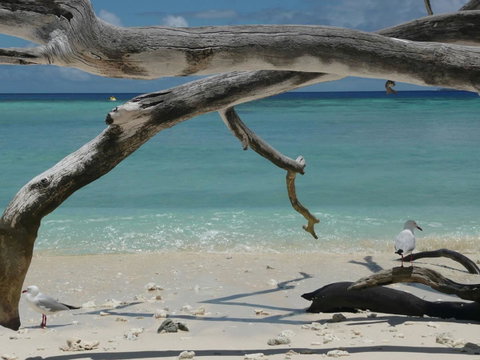 Beach Club Port Douglas Luxury Apartments - Hotel WA 23