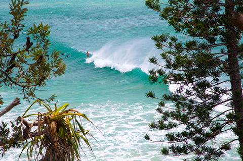 Rainbow Bay Backpackers - Hotel WA 15