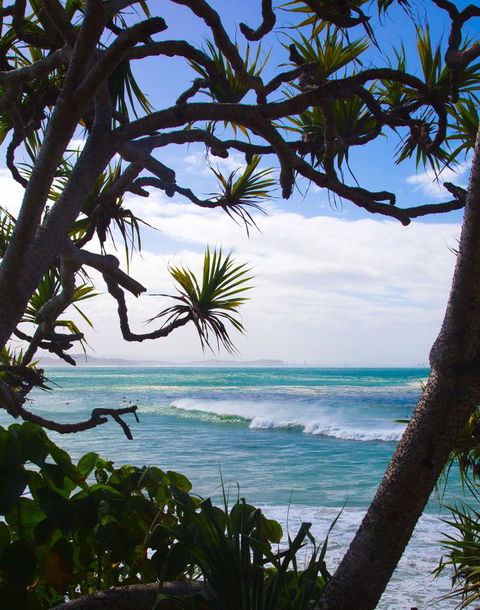 Rainbow Bay Backpackers - Hotel WA 25